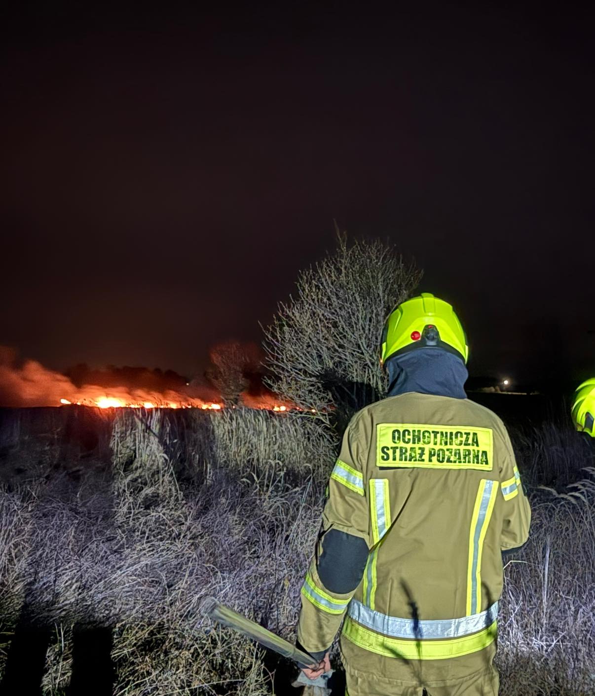 Pożar nieużytków w Tarkawicy