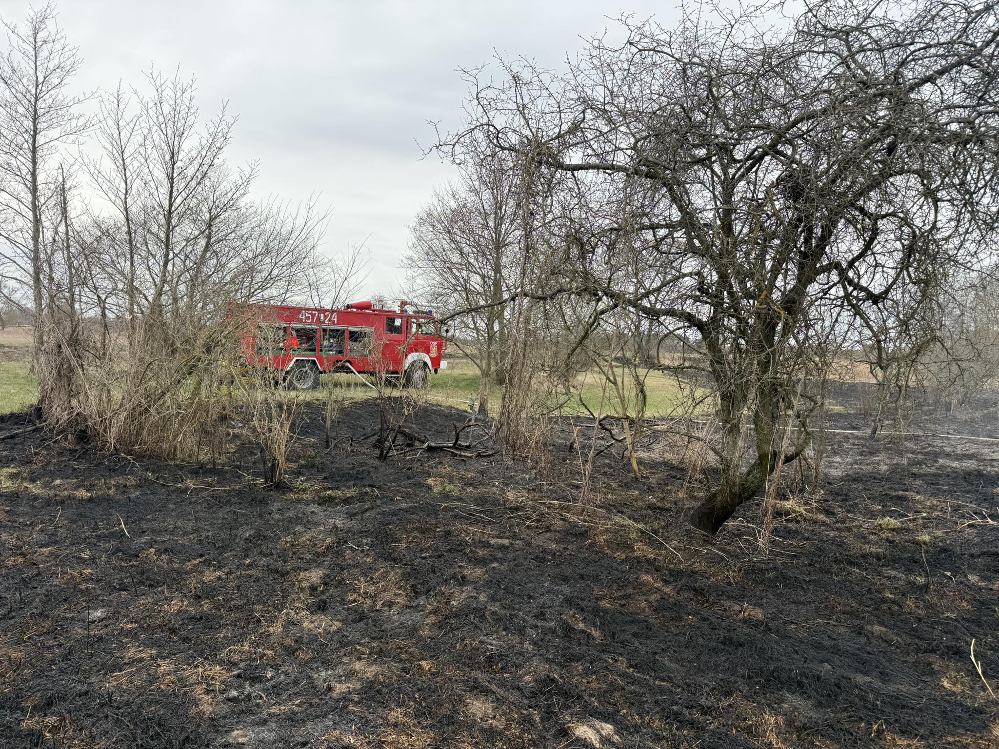 Pożar łąk nad Wieprzem