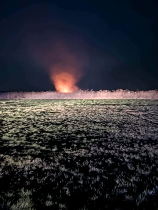 Pożar traw w Górce Kockiej