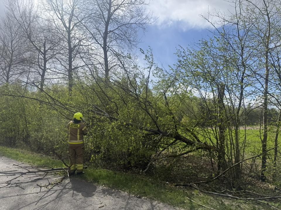 Usuwanie skutków silnych wiatrów