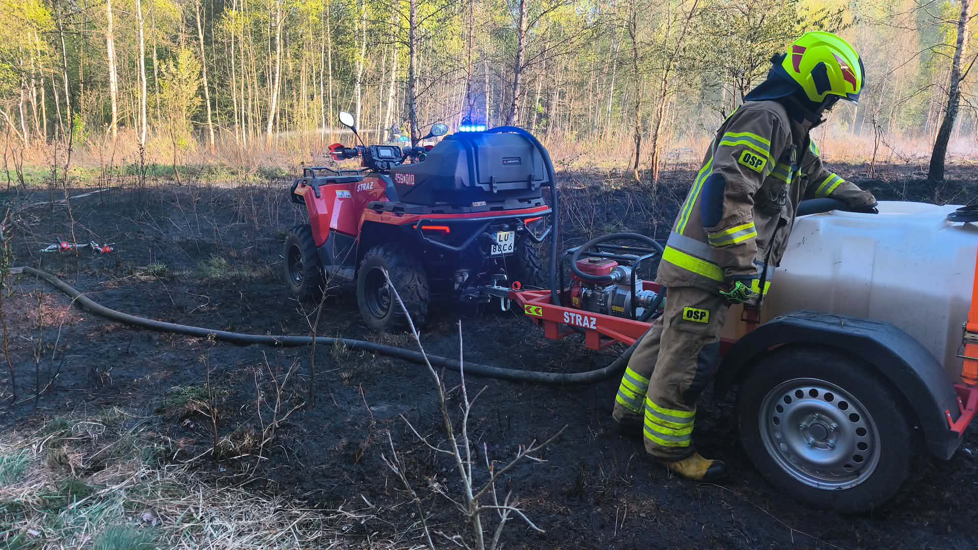 Pożar lasu w gminie Ostrów lubelski