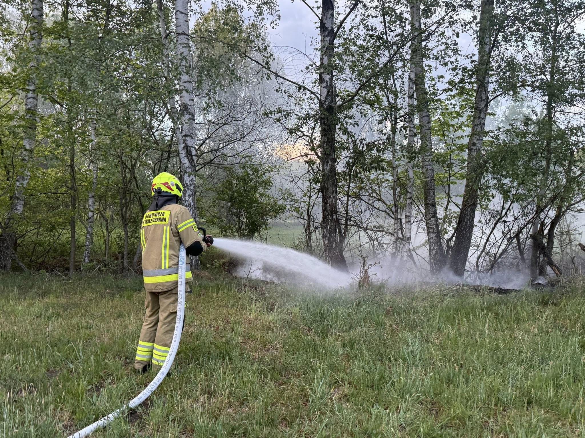 Pożar gałęzi i trawy w Cegielni
