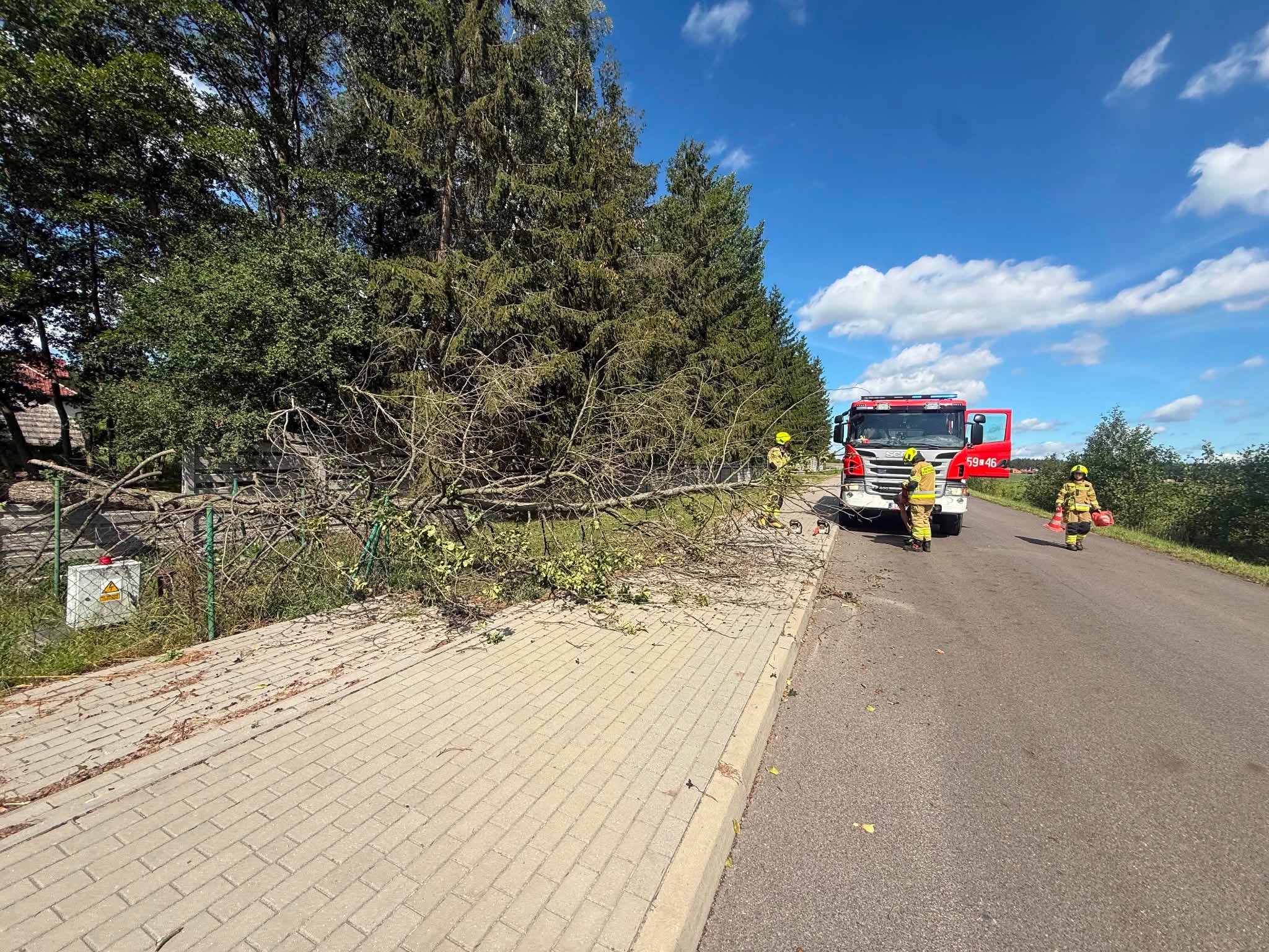 Powalone drzewa na chodnik i drogę gminną